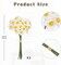 12-Stem Artificial Daffodil Set – 2 Bunches of Real-Touch Silk Narcissus Flowers, 9-Inch Spring Decor for Weddings, Home, Parties, Office, and Anniversary (White)